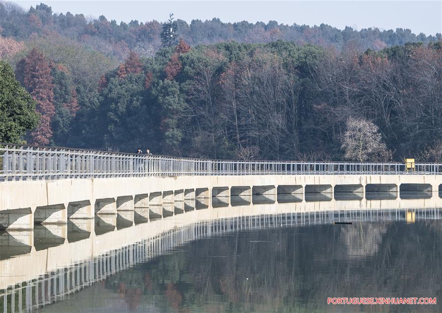 CHINA-HUBEI-WUHAN-EAST LAKE-GREENWAY (CN)