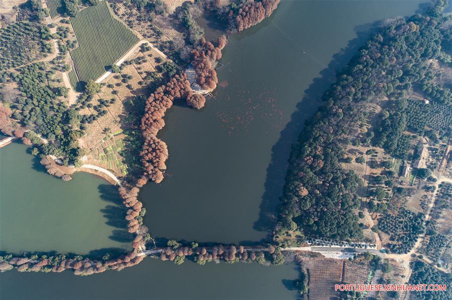 CHINA-HUBEI-WUHAN-EAST LAKE-GREENWAY (CN)