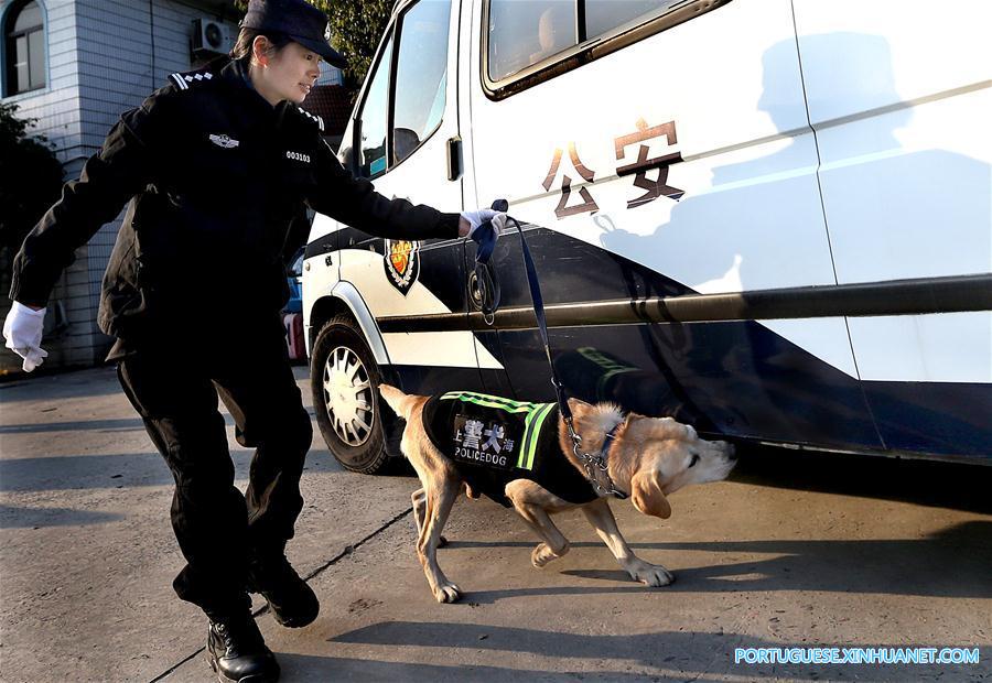 CHINA-SHANGHAI-POLICEDOG TRAINING (CN)