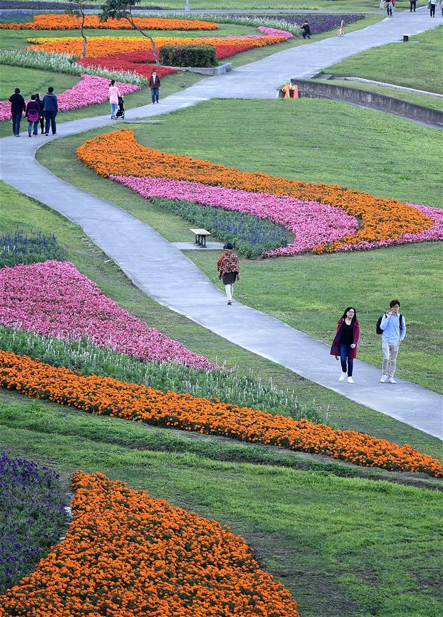 CHINA-TAIPEI-PARK-FLOWER (CN)