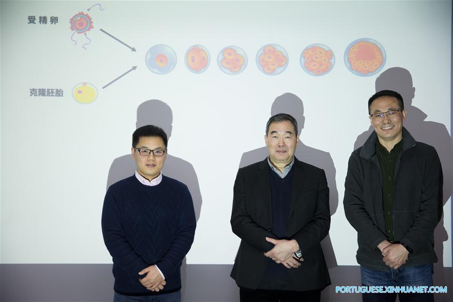 CHINA-BEIJING-CLONED MACAQUES-SUCCESS (CN)