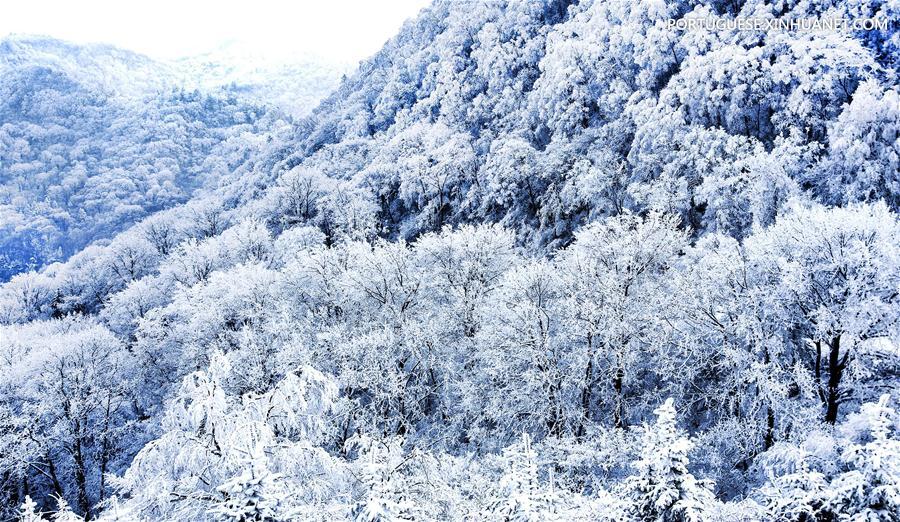 #CHINA-SHAANXI-ZIBAI MOUNTAIN-SNOWFALL (CN*)