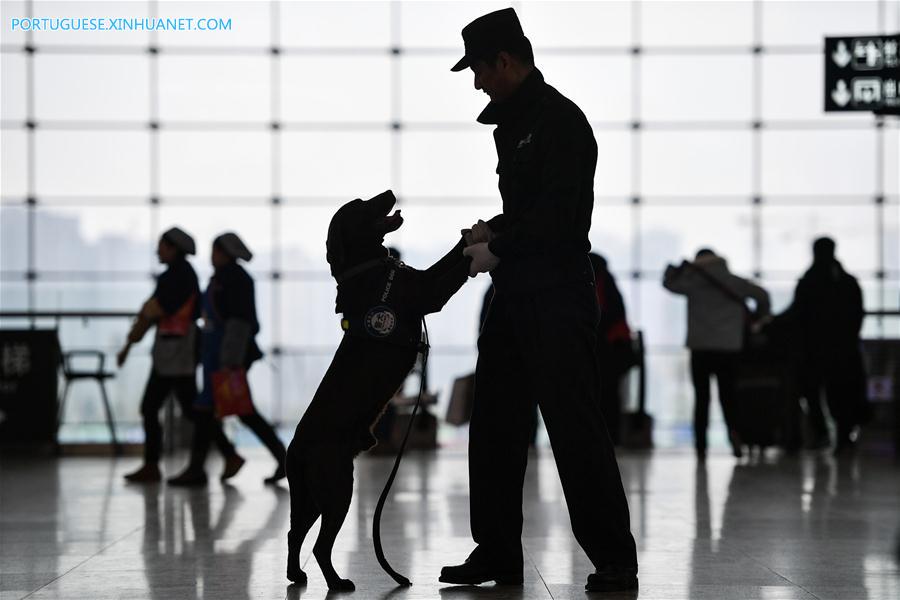 CHINA-CHENGDU-SPRING FESTIVAL-TRAVEL RUSH-POLICE DOG (CN)
