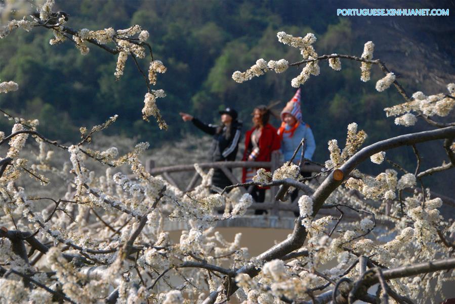 #CHINA-SPRING SCENERY-BLOSSOMS(CN)