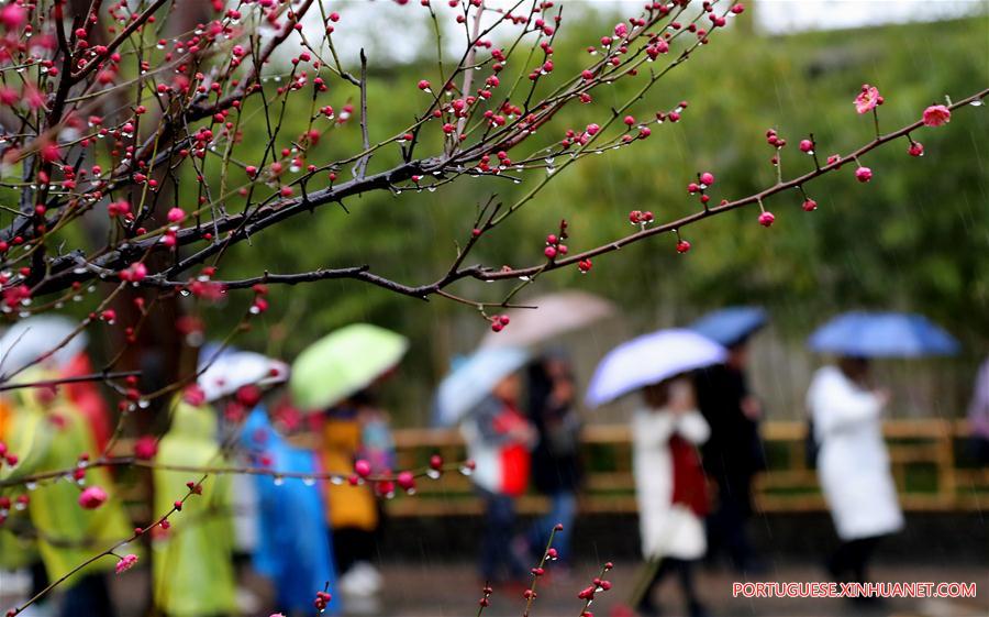 #CHINA-FLOWERS IN THE RAIN-SCENERY (CN)