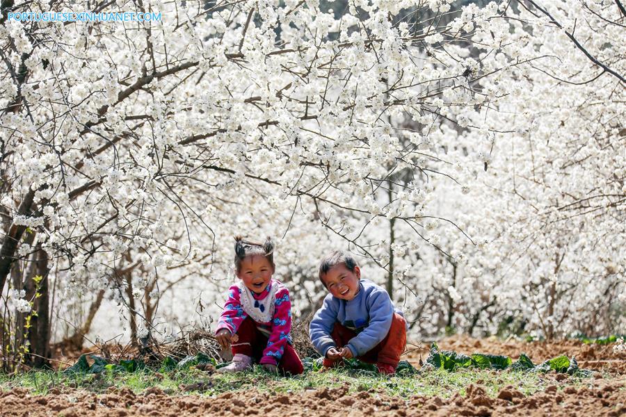 #CHINA-EARLY SPRING SCENERY-FLOWERS (CN)