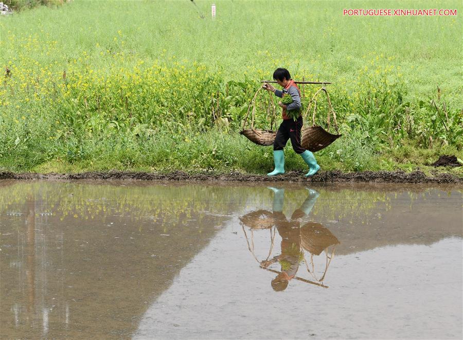 #CHINA-CHUNFEN-FARM WORK(CN)