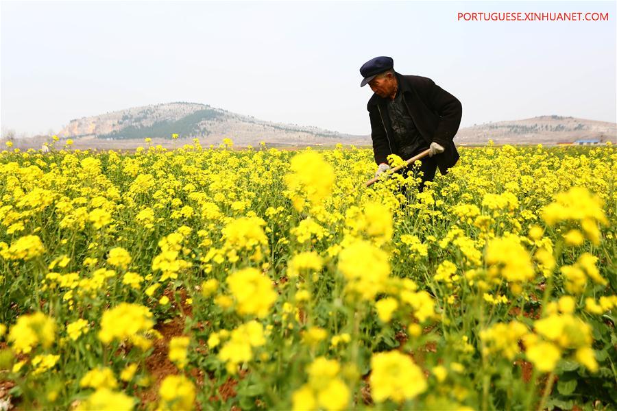 #CHINA-CHUNFEN-FARM WORK(CN)