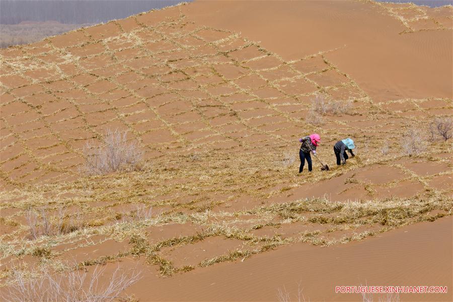 #CHINA-GANSU-DESERT CONTROL (CN)