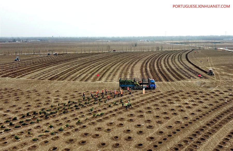 CHINA-XIONGAN NEW AREA-ANNIVERSARY-AERIAL VIEW (CN)