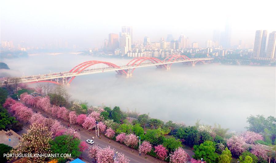 #CHINA-GUANGXI-ADVECTION FOG (CN)