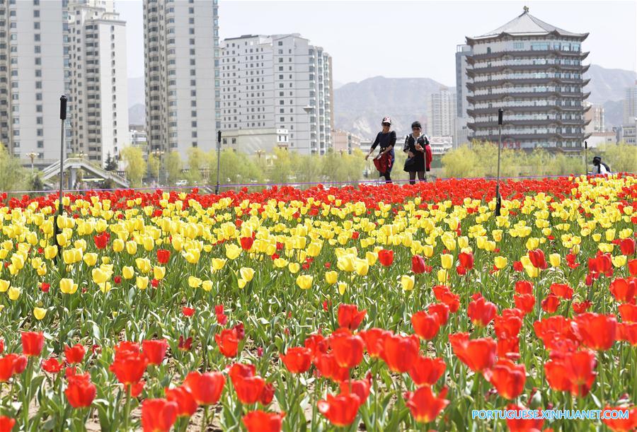 # CHINA-GANSU-SPRING-FLOWER(CN)