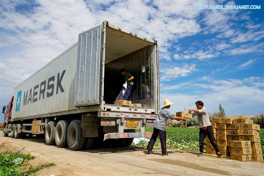 #CHINA-XINJIANG-AGRICULTURE-HAMI MELON-MARKET (CN)