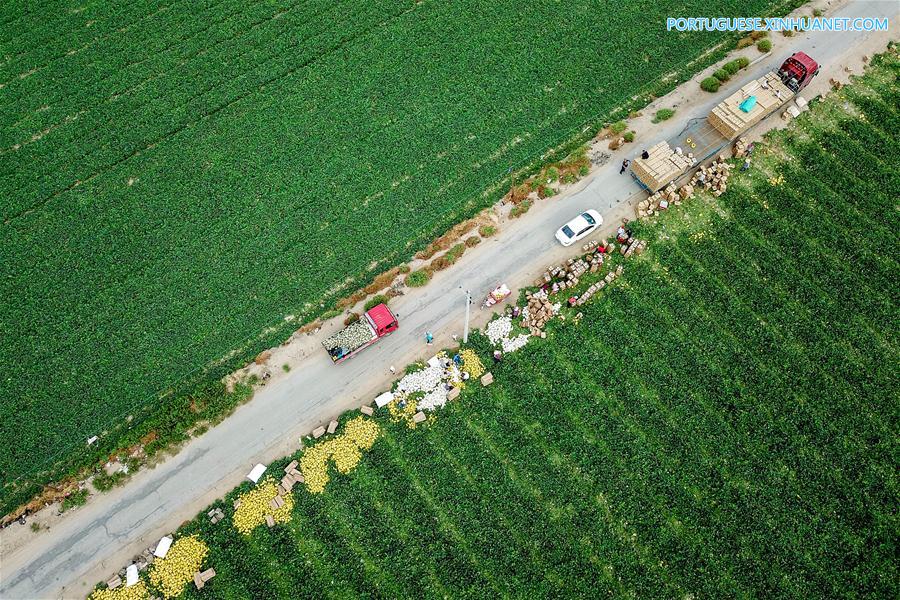 #CHINA-XINJIANG-AGRICULTURE-HAMI MELON-MARKET (CN)