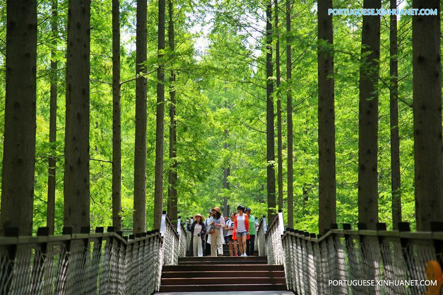 #CHINA-JIANGSU-FOREST PARK-SCENERY (CN)