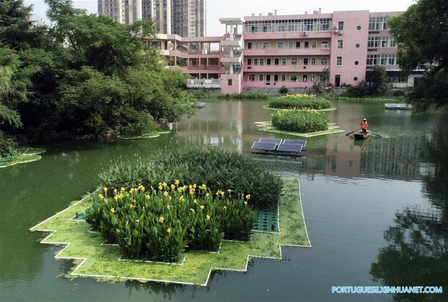 #CHINA-ARTIFICIAL FLOATING ISLAND-WATER PURIFICATION (CN)