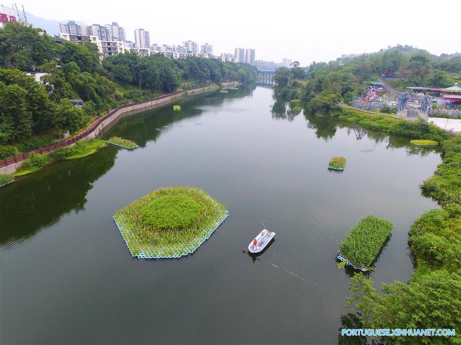 #CHINA-ARTIFICIAL FLOATING ISLAND-WATER PURIFICATION (CN)