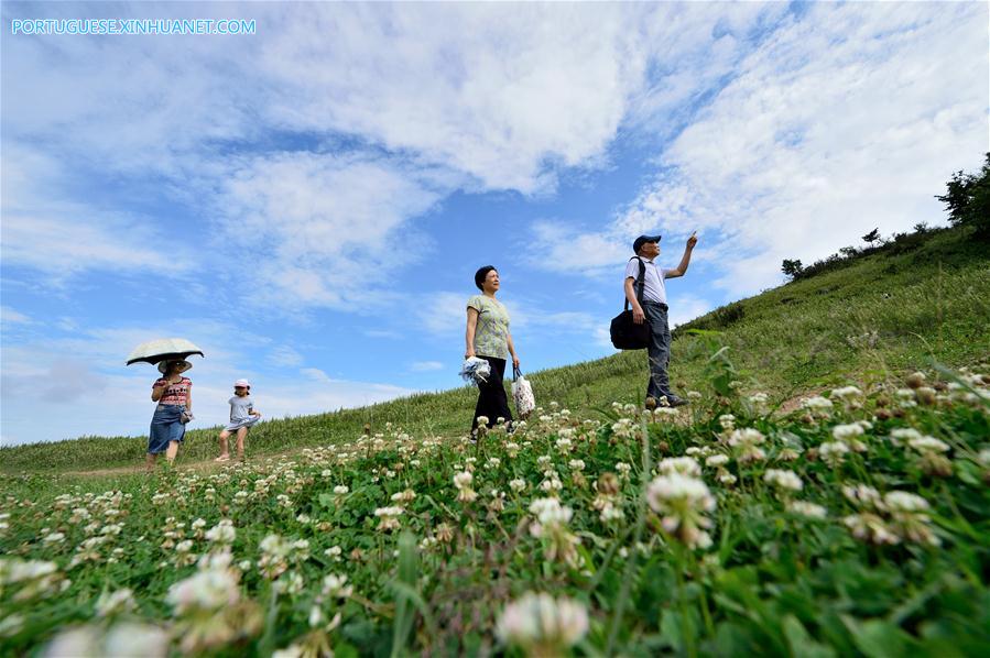 #CHINA-HUBEI-GRASSLAND (CN)