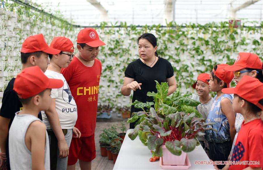CHINA-HEBEI-HENGSHUI-CHILDREN-MODERN AGRICULTURAL GARDEN (CN)