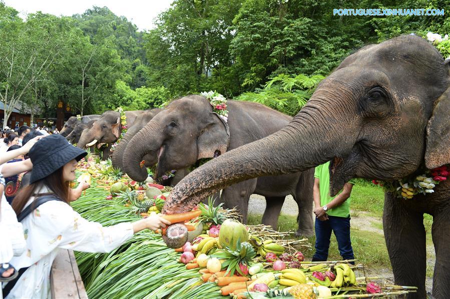 CHINA-YUNNAN-XISHUANGBANNA-WORLD ELEPHANT DAY (CN)