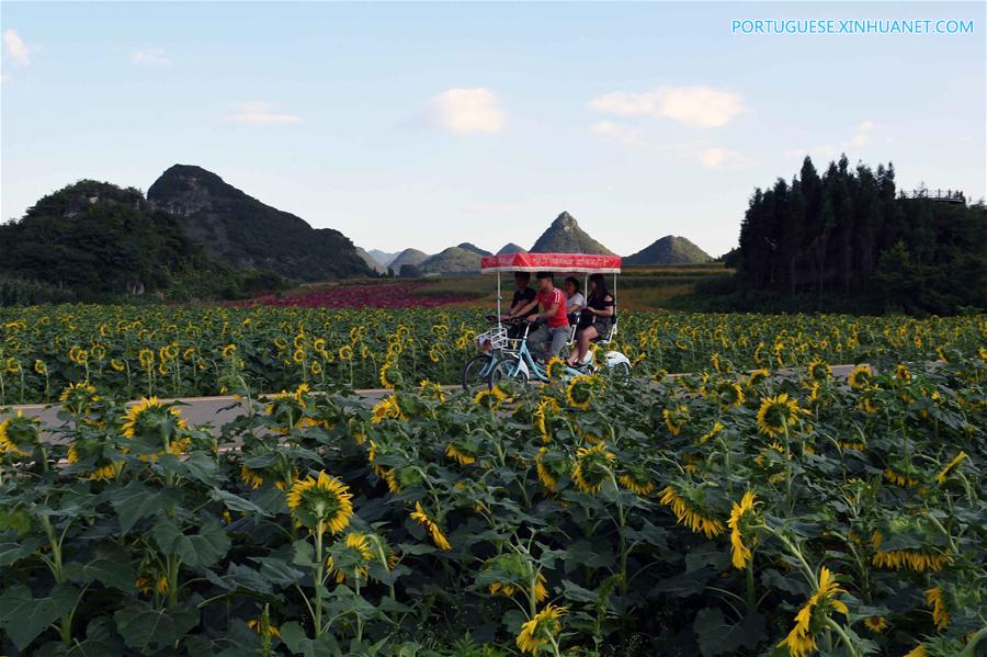 CHINA-YUNNAN-LUOPING-COLORFUL FLOWER FIELDS (CN)