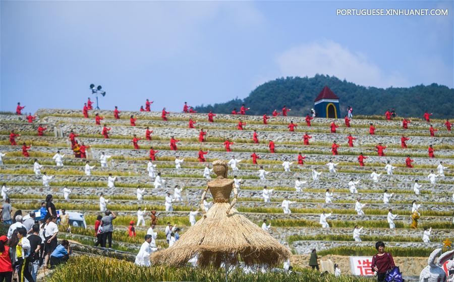 CHINA-ZHEJIANG-TAICHI-PERFORMANCE (CN)