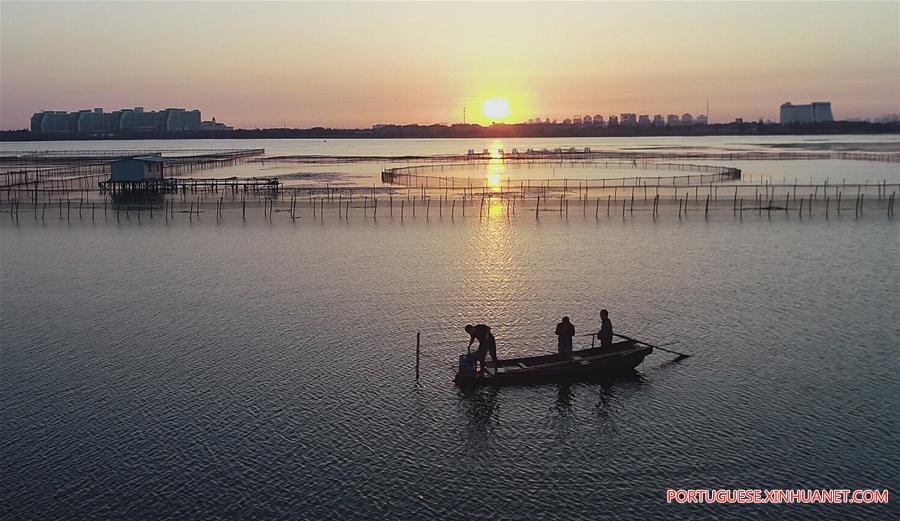 CHINA-JIANGSU-KUNSHAN-HAIRY CRAB CULTIVATOR (CN)