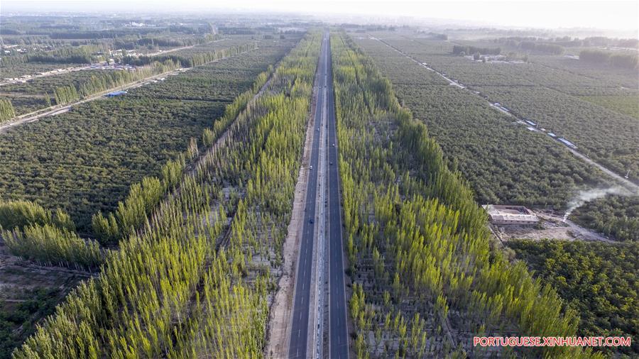 Xinhua Headlines: Man-made oasis: Xinjiang's "green wall" fights expanding desert