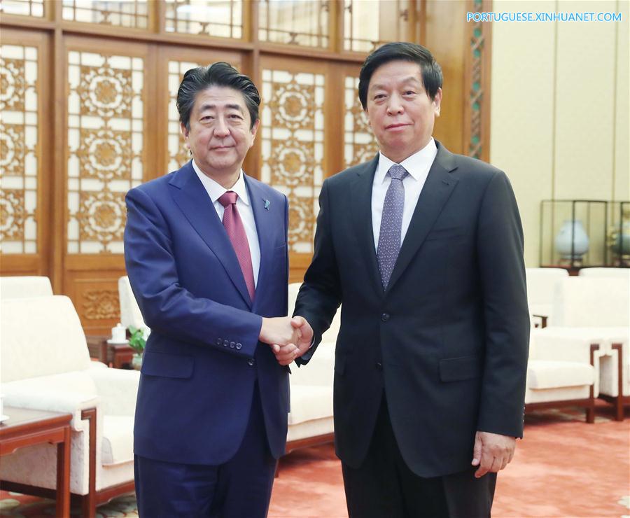 CHINA-BEIJING-LI ZHANSHU-JAPANESE PM-MEETING (CN)