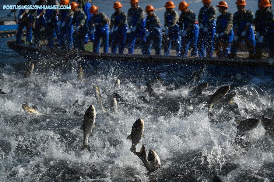 CHINA-HANGZHOU-QIANDAO LAKE-FISHING (CN)