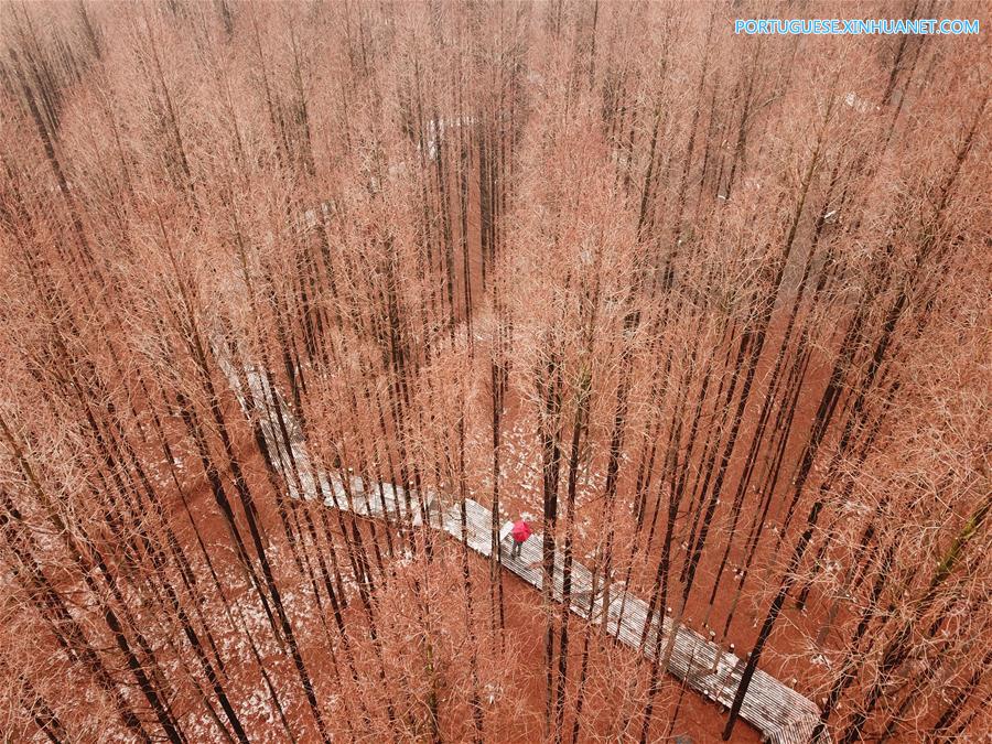 #CHINA-JIANGSU-HUAIAN-SNOW (CN)