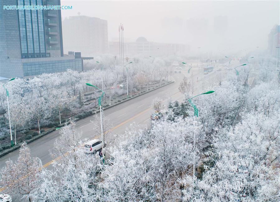 #CHINA-SHANXI-YUNCHENG-RIME SCENERY (CN)