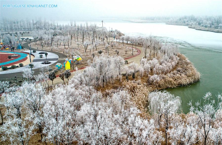 #CHINA-SHANXI-YUNCHENG-RIME SCENERY (CN)