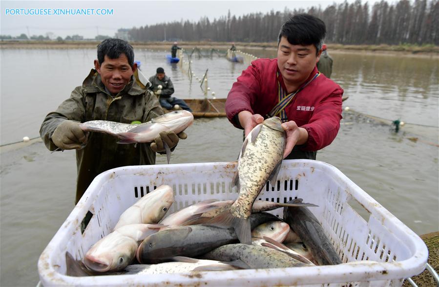 CHINA-JIANGXI-NANCHANG-FISHING (CN)