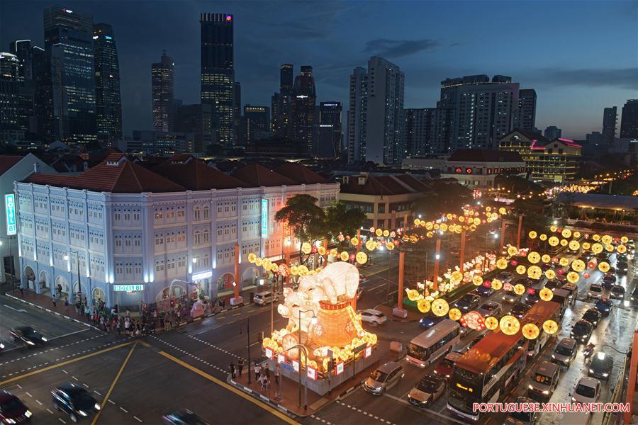 SINGAPORE-CHINATOWN-LUNAR NEW YEAR-LIGHT