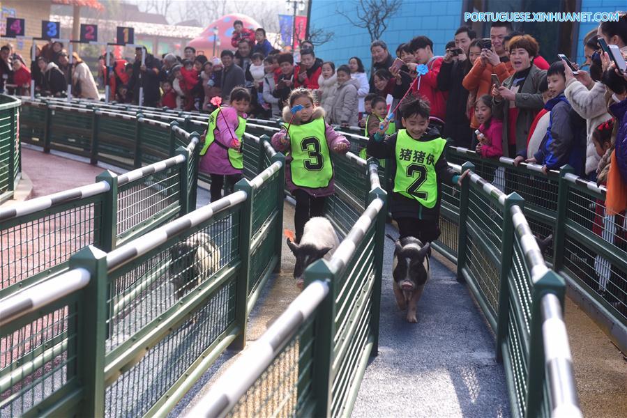 #CHINA-JIANGSU-MINI PIGS-RACE (CN) 