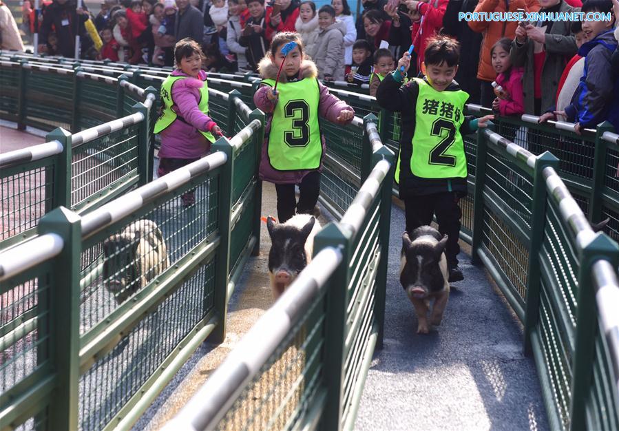 #CHINA-JIANGSU-MINI PIGS-RACE (CN) 