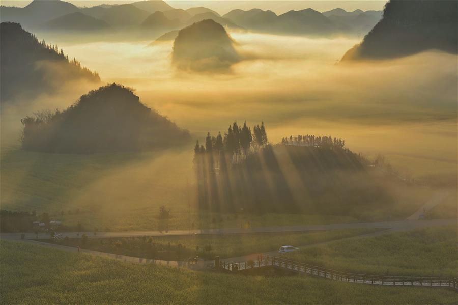 CHINA-YUNNAN-LUOPING-COLE FLOWERS (CN)