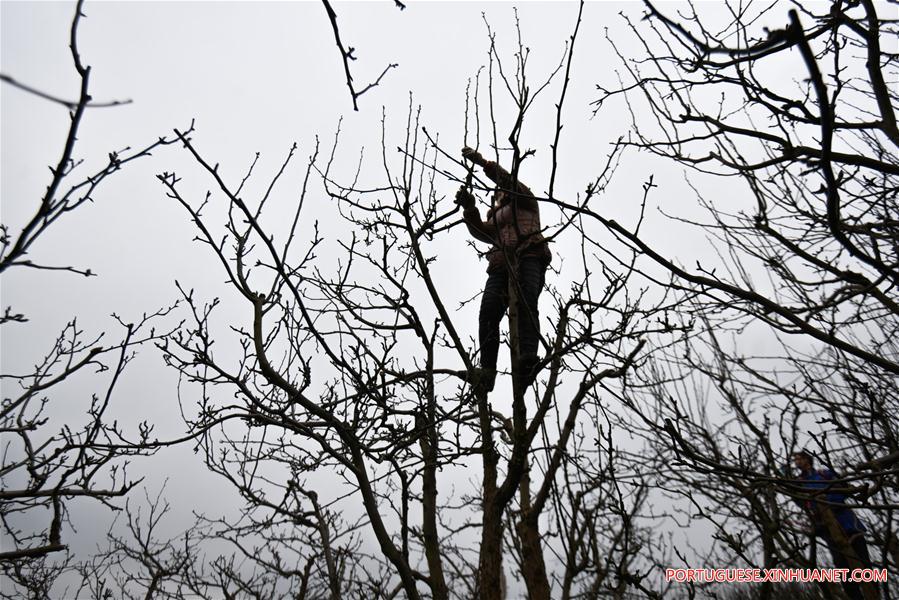 #CHINA-EARLY SPRING-FARM WORK (CN)