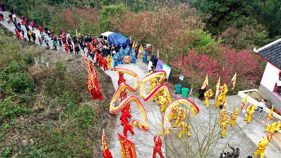 #CHINA-GUANGXI-HUANJIANG-PEACH BLOSSOM FESTIVAL (CN)