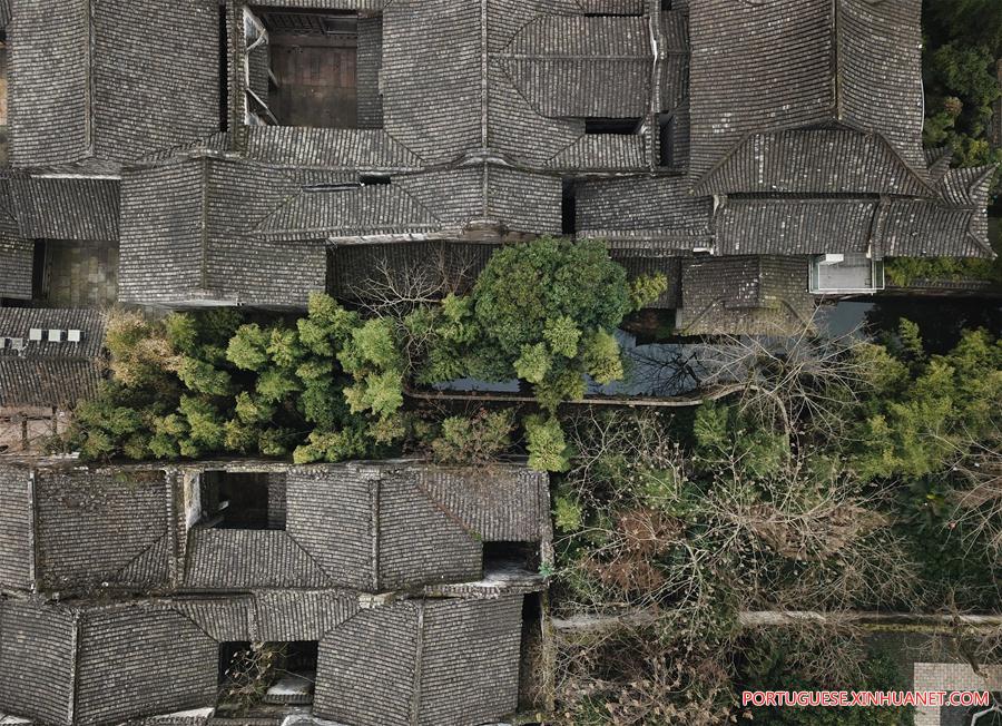 CHINA-ZHEJIANG-WUZHEN-SCENERY (CN)