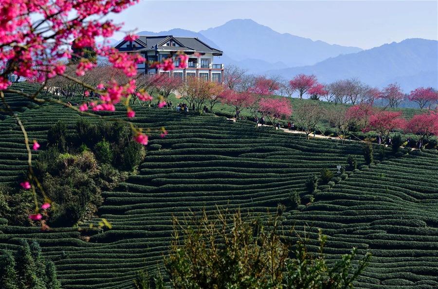 CHINA-RURAL DEVELOPMENT (CN)