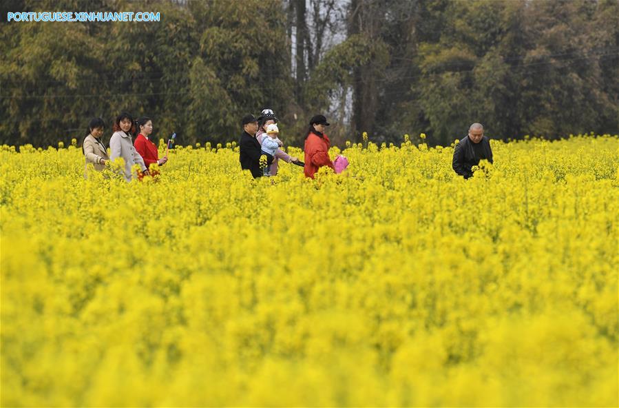 CHINA-SICHUAN-COLE FLOWERS-TOURISM (CN)