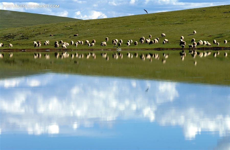 CHINA-TIBET-ECO-ENVIRONMENT PROTECTION (CN)