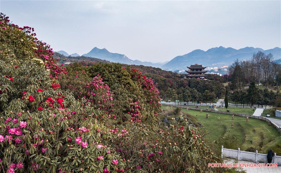 CHINA-GUIZHOU-BIJIE-SCENIC SPOT (CN)