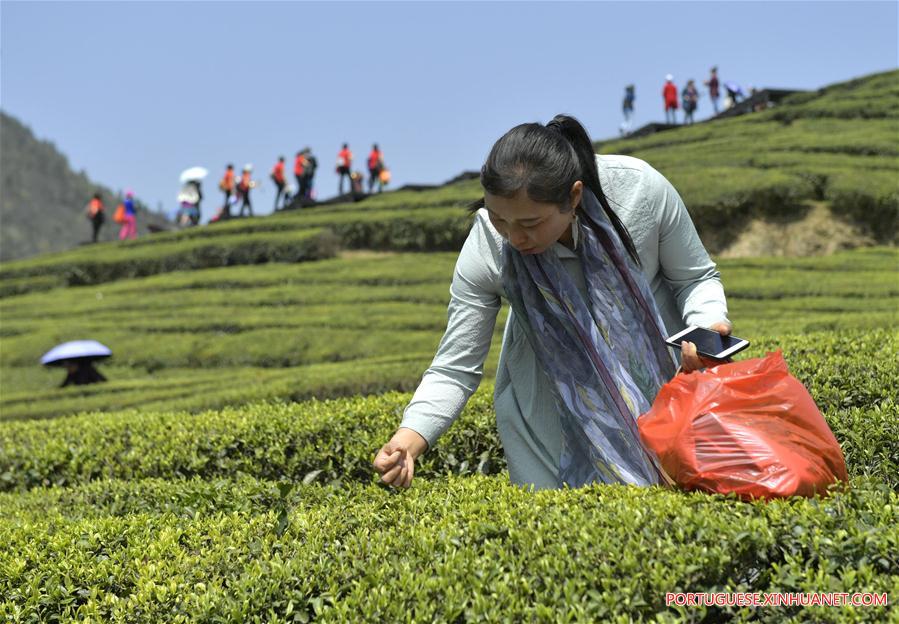 #CHINA-HUBEI-TEA FARM (CN)