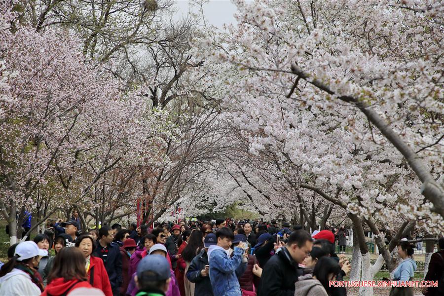 #CHINA-SPRING-FLOWERS(CN)