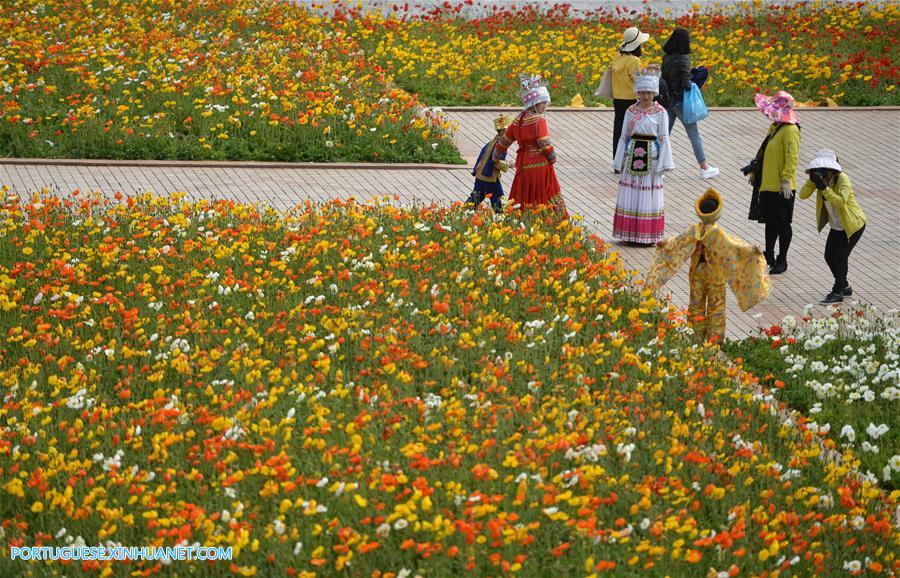 CHINA-YUNNAN-KUNMING-WORLD HORTICULTURE EXPOSITION (CN)