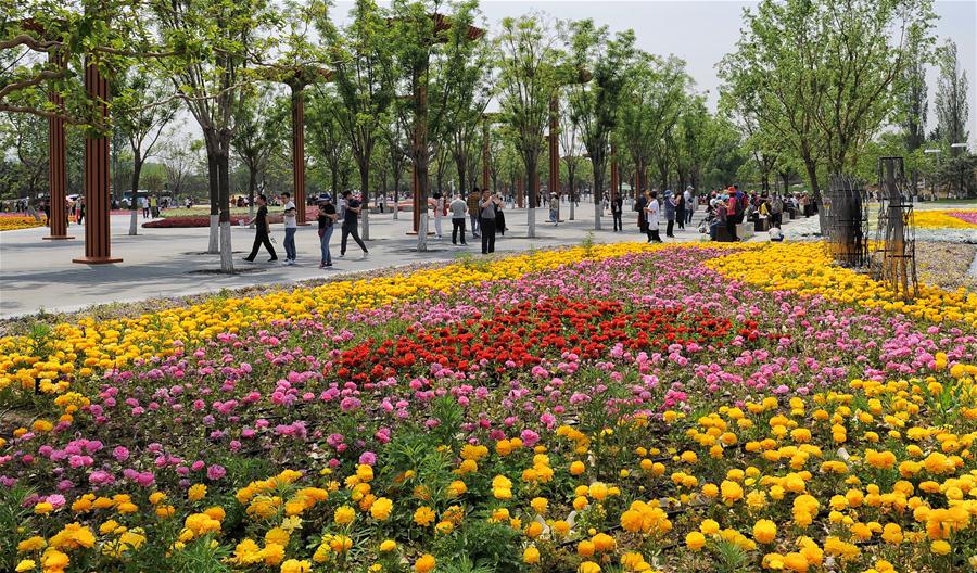 CHINA-BEIJING-HORTICULTURAL EXPO-TOURISM (CN)