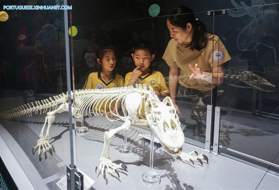 CHINA-GUANGDONG-SCIENCE-DINOSAUR-EXHIBITION (CN)